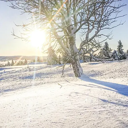 Holiday home Lovely In With Wifi Sjusjoen