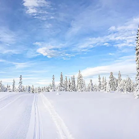 Lovely In With Wifi Holiday home Sjusjoen